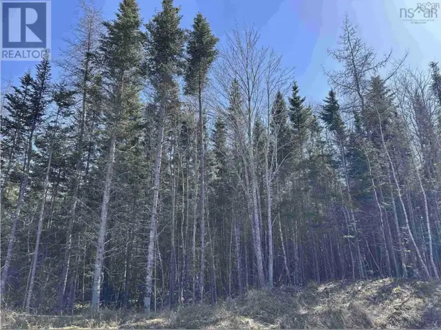 Lot 16 - Lower River Road Grantville, Nova Scotia in Land for Sale in Cape Breton - Image 13
