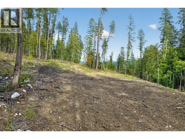 DL 7620 Rogers Road Balfour, British Columbia in Land for Sale in Nelson - Image 10