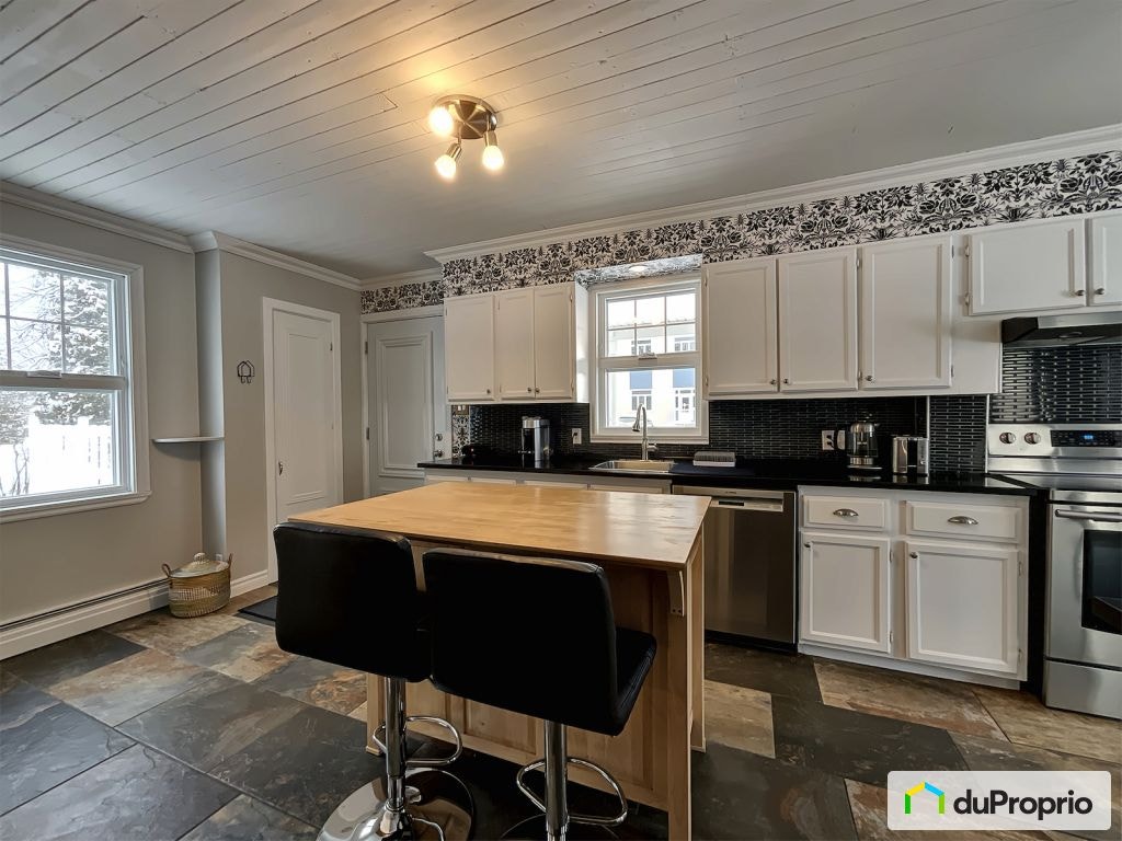 $249,000 - 2 Storey for sale in Témiscouata-sur-le-Lac — photo 3