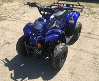 SPECIAL CLEARANCE SALE ON ATVS/QUADS/DIRT BIKES/DUNE BUGGYS/UTVS