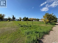 217 James STREET Radisson, Saskatchewan Saskatoon Saskatchewan Preview