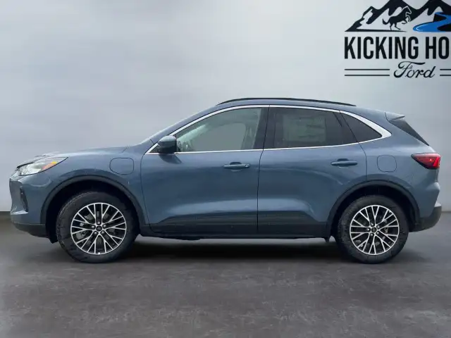 2025 Ford Escape in Cars & Trucks in Revelstoke - Image 9