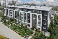 203 9228 SLOPES MEWS Burnaby, British Columbia