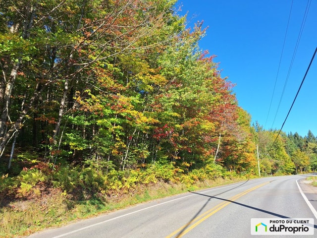 $185,000 - Price taxes not included - Residential Lot for sale — photo 2