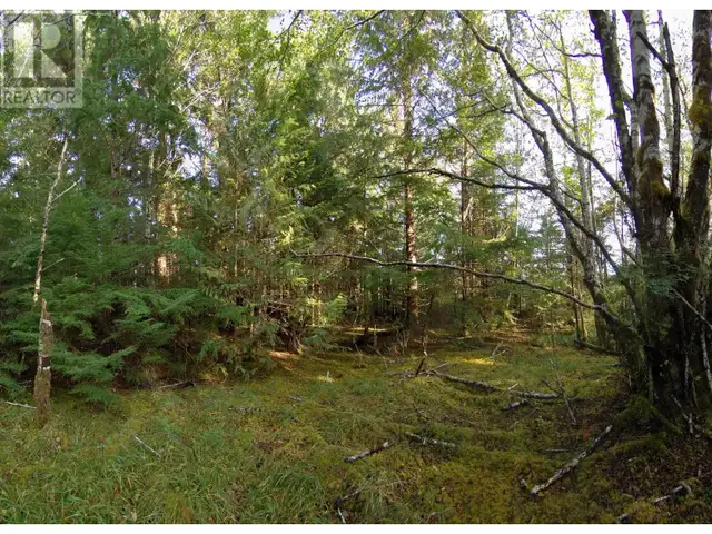1302 GOBLE POINT Prince Rupert, British Columbia in Land for Sale in Prince Rupert - Image 37