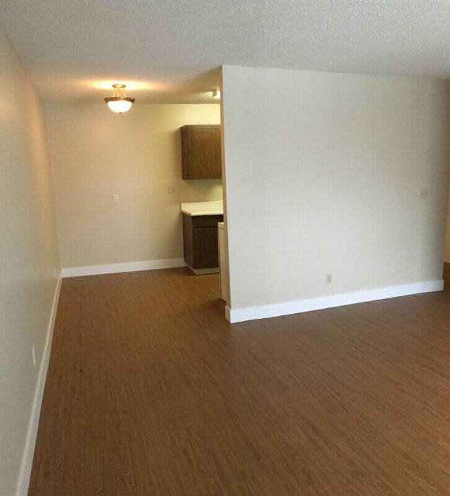 Chateau Garden - Pet Friendly 1 Bedroom Unit Starting from $1395 in Long Term Rentals in Kamloops - Image 2