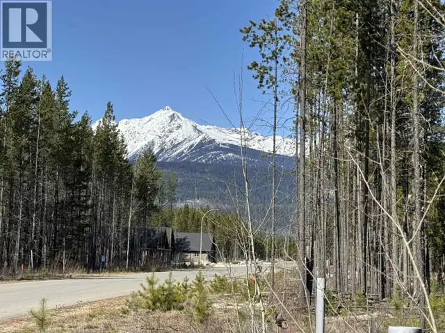 1030 18TH AVENUE Valemount, British Columbia in Land for Sale in Quesnel - Image 4