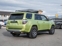 No Accidents - TRD Off-Road Capability - SofTex Leather - 360(0) Backup Camera The 2023 Toyota 4Runn... (image 8)