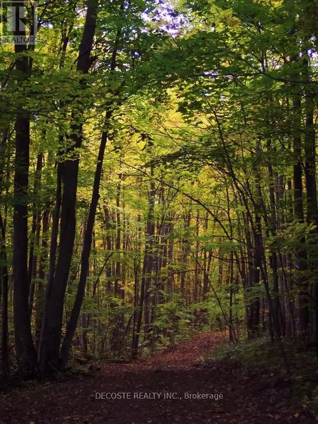 0000 COUNTY 43 ROAD North Glengarry, Ontario in Land for Sale in Ottawa - Image 7