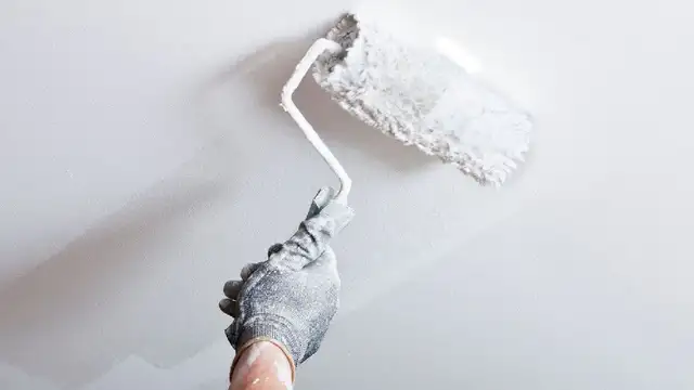 Experienced Interior/Exterior Painter