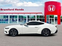 Feel the exhilarating power of the 2024 Ford Mustang I4CP, an American icon engineered for pure perf... (image 1)