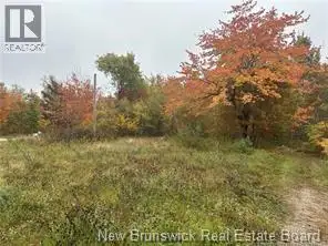 72 Old Harvey Road McAdam, New Brunswick in Land for Sale in Fredericton - Image 3