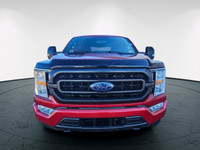 Experience the power and versatility of the 2021 Ford F-150 XLT in a striking red finish with a robu... (image 1)