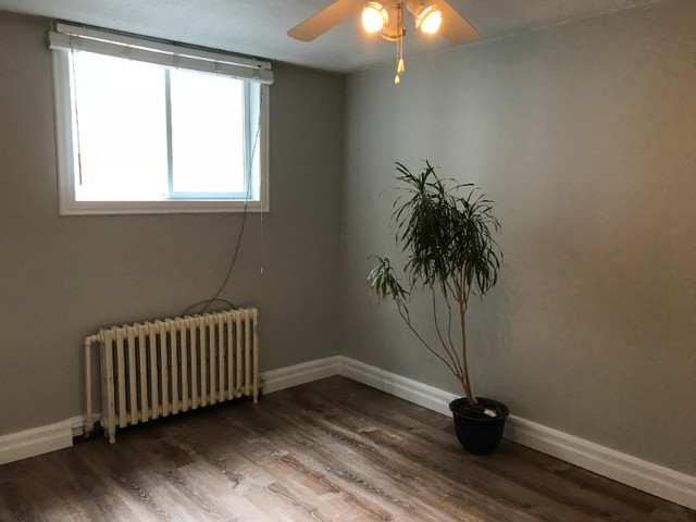 Students! 2 Bed 1 Bath Basement Apartment, Downtown Kingston in Long Term Rentals in Kingston - Image 3