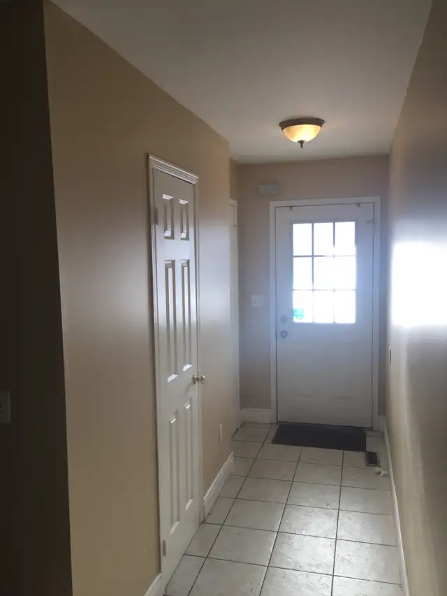HANDYMAN & PAINTER ( MISSISSAUGA & BRAMPTON )595518165845944321