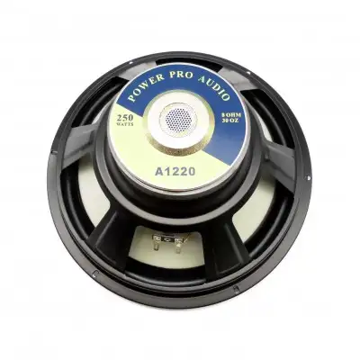 12'' 250W Full Range Speakers Chrome, Electronics, View more