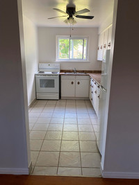 454 Oak Street in Collingwood is a safe, quiet low rise rental apartment building located near in a... (image 8)