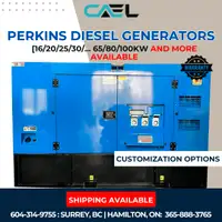 CAEL Brand New Perkins Diesel Generators - Warranty & Customized