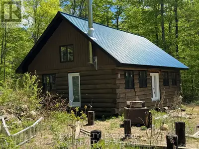 A true diamond in the rough awaiting a master's hand to complete. A log home hiddenaway off grid wit...