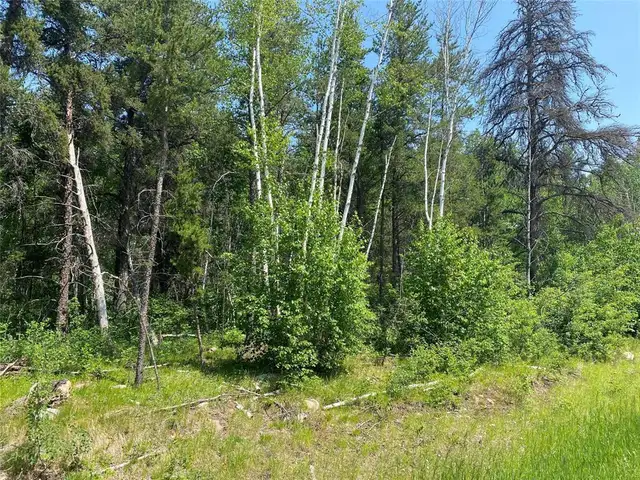 3 Arcadia Road Molson, Manitoba628676031110411210