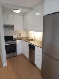 Gorgeous Renovated Bachelor available Immediately!