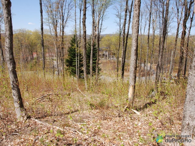 $175,000 - Residential Lot for sale in Morin-Heights — photo 2
