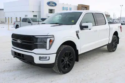 Every pre-owned vehicle from Big M Ford Lincoln comes with a full inspection, a free car proof vehic...