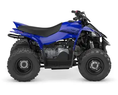 FIRST‑TIME RIDER, LIFELONG MEMORIES. Boasting electric start, automatic transmission and parental co...