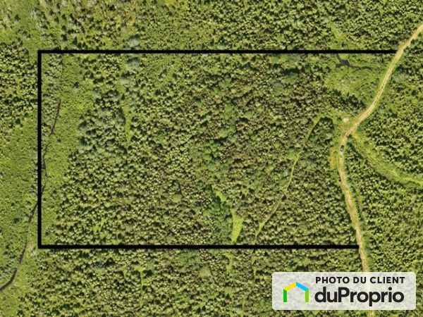 $98,500 - Wood Lot for sale in Ste-Perpetue-de-L'Islet — photo 1