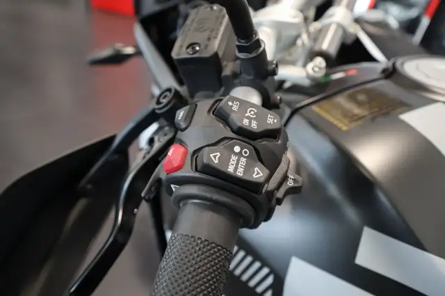 2025 Ducati DesertX White in Sport Touring in Edmonton - Image 9