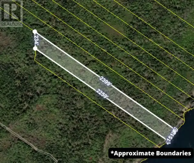 Highway 217 Central Grove, Nova Scotia in Land for Sale in Yarmouth - Image 17