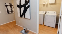 Broadstreet's Chappelle Springs offers 1, 2, and 3 bedroom pet friendly apartments for rent in the v... (image 8)