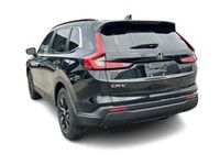 -Regina Honda Odometer is 17715 kilometers below market average! Recent Arrival! 2024 Honda CR-V Spo... (image 7)