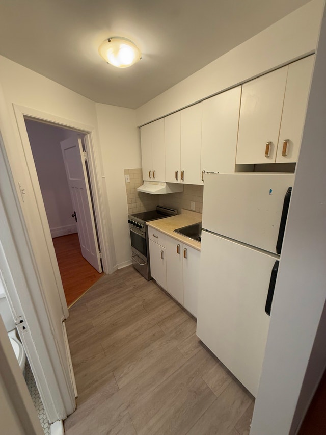 2-1/2 Apartment Plateau Mt-Royal — photo 3