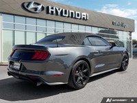*2019 Ford Mustang EcoBoost Premium Convertible | Automatic | Turbocharged | Low KM* Iconic design m... (image 4)