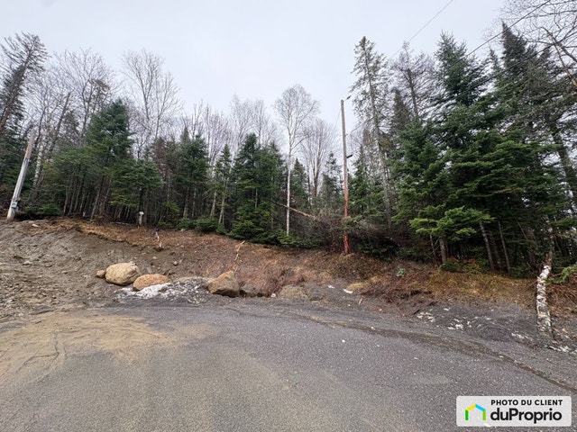 $250,000 - Residential Lot for sale in Ste-Agathe-Des-Monts — photo 2