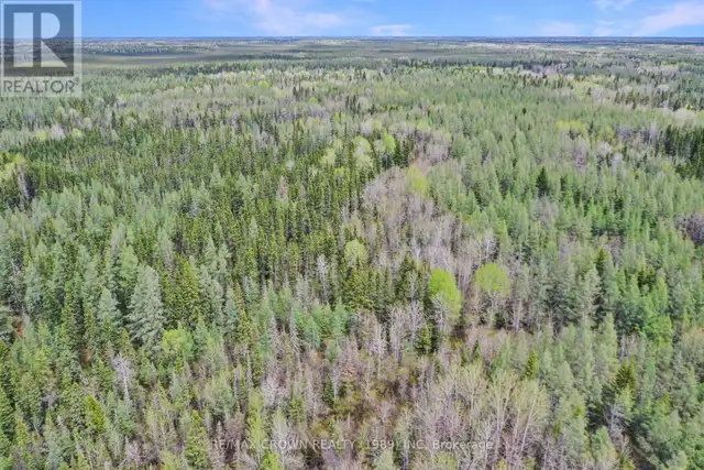 FAUQUIER-STRICKLAND - 319 HIGHWAY 11 Kapuskasing, Ontario in Land for Sale in Kapuskasing - Image 15