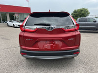 This 2019 Honda CR-V EX-L AWD blends everyday practicality with upscale comfort and confident all-we... (image 7)