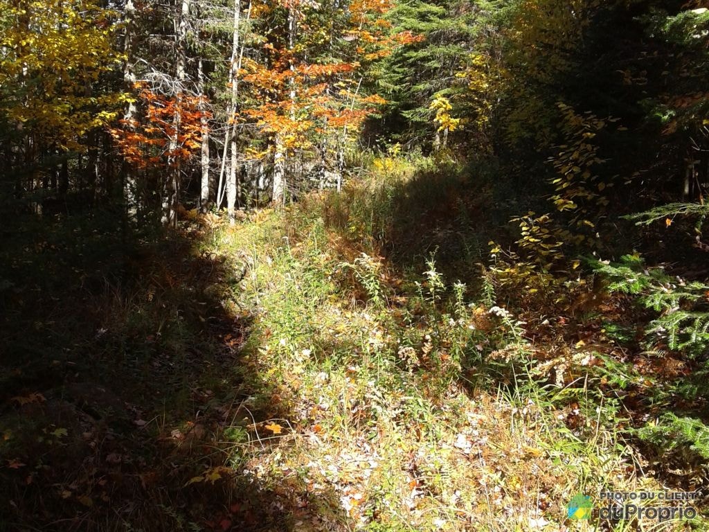 $492,265 - Residential Lot for sale in Ste-Adele — photo 3