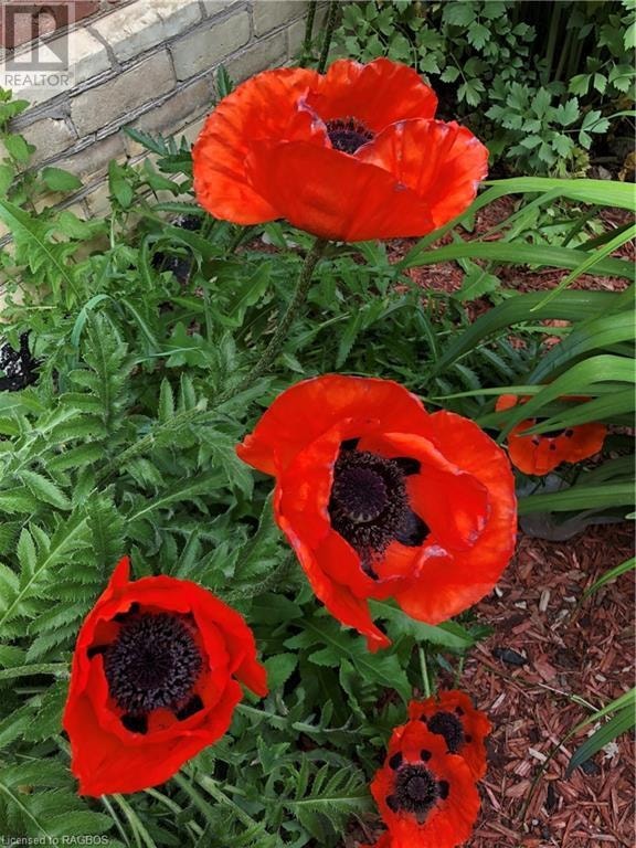 410 BERFORD Street Wiarton, Ontario Houses for Sale Owen Sound Kijiji