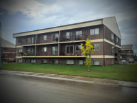 BACHELOR - 1 & 2 BED APTS FOR RENT