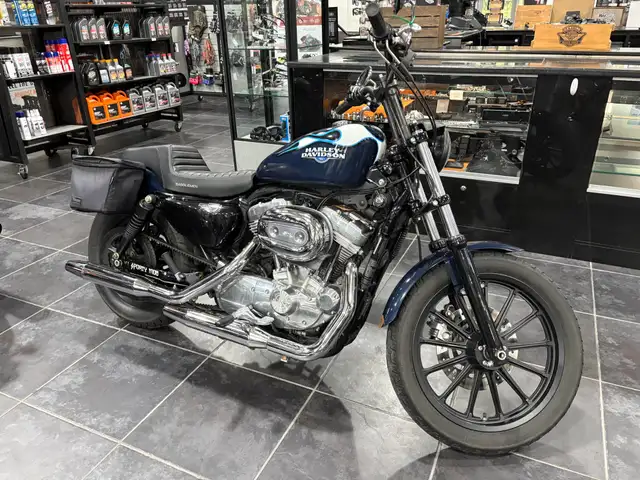 2009 Harley-Davidson Sportster 883 Low in Sport Bikes in Sudbury - Image 3