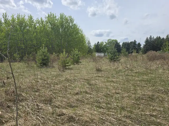 487 LAKESIDE Drive Rural Parkland County, Alberta in Land for Sale in St. Albert - Image 3
