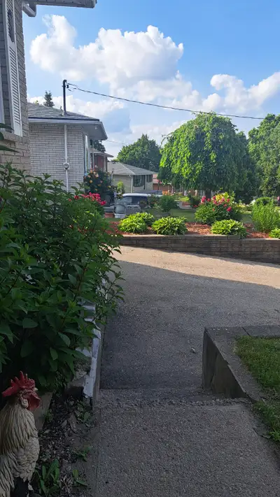 House for rent 3 bedrooms