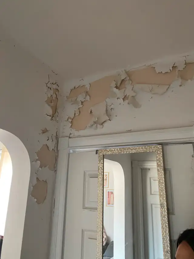 Bathroom & Wall Repair – Mold, Peeling Paint, and Full Repaintin62863716038018121