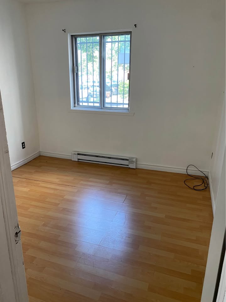 5571 Rue Saint-Dominique — photo 3