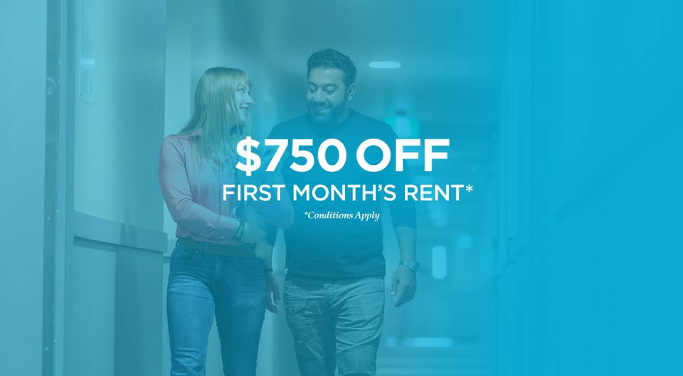 PetFriendly Two Bedroom Two Bath with Insuite Laundry for Rent Long