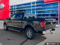 Clean CarFax, Ontario Vehicle, Agate Black Metallic 2025 Ford F-150 XLT SuperCrew 4X4, 10-Speed Auto... (image 3)