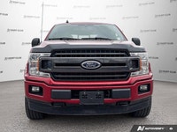 This 2020 Ford F-150 XLT features SYNC 3 infotainment system, 8-inch touchscreen display, Apple CarP... (image 9)