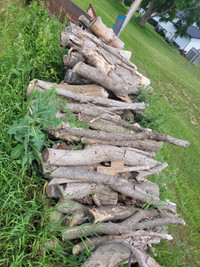 Campfire wood for sale